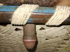 I had a mischievous night with my jizm-pump as I